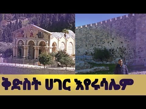 ቪዲዮ: ሳፋሪስ ከወባ ነጻ በሆኑ የአፍሪካ አካባቢዎች