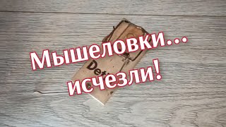 Мышеловки исчезли