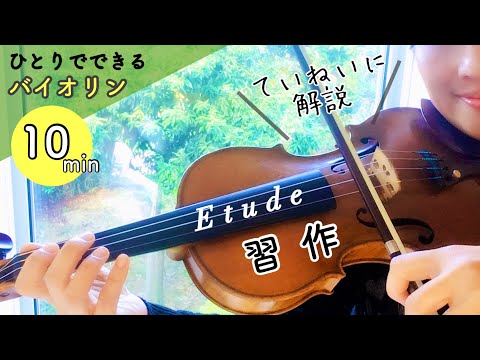 [説明書付]スズキ　バイオリン 鈴木楽器製作所 Suzuki No.103 4/4 Violin スズキ バイオリン