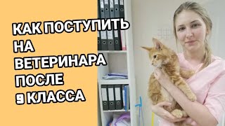 Как поступить на ветеринара после 9 класса🦒