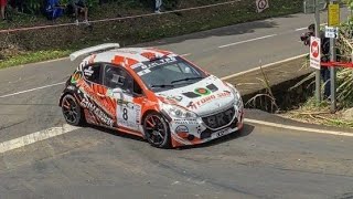 Best Rally Jumps || Flatout Rally Compilation #Erc2023  #Jump #Rallycar