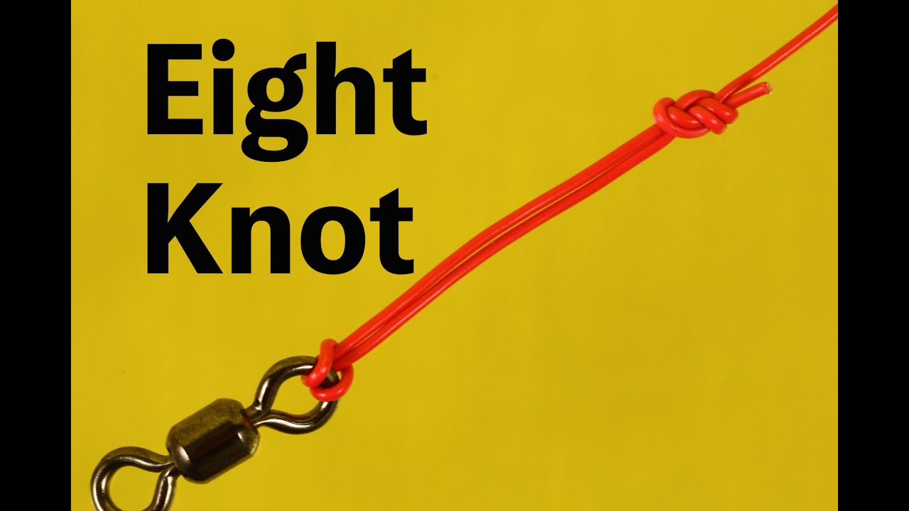 Fishing Knots for swivels,snaps,etc Eight Knot YouTube