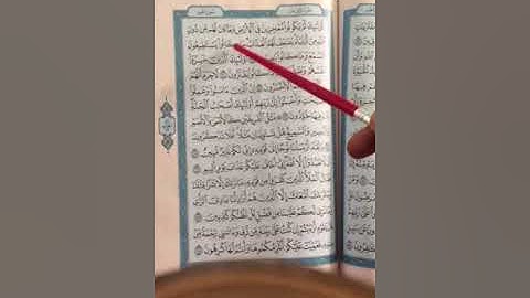 سورة هود ٢٢٤ص تجويد واتقان