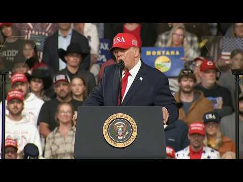 Trump to hold Georgia midterm rally in Dalton