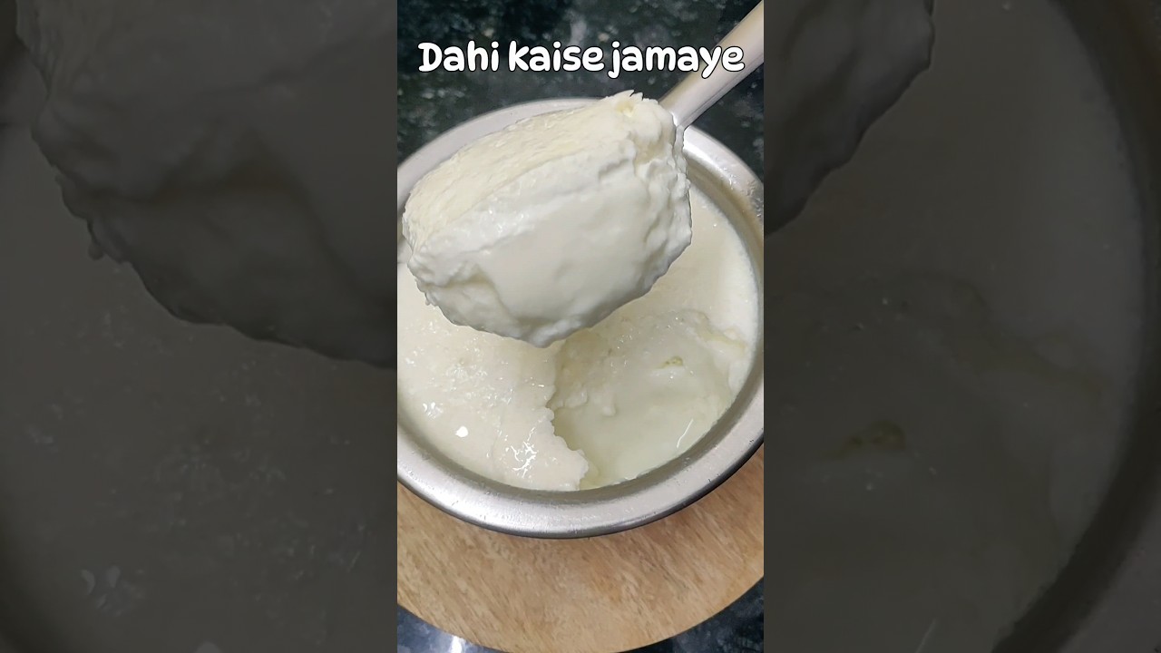 Dahi Jamane Ka Sahi Tarika  | Commercial Recipe | How To Make Yogurt