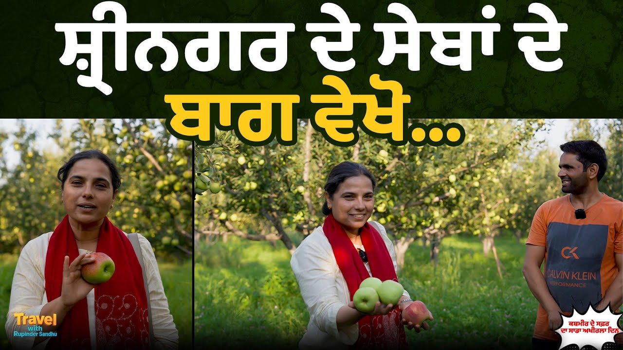 ਸ਼੍ਰੀਨਗਰ ਦੇ ਸੇਬਾਂ ਦੇ ਬਾਗ ਵੇਖੋ... l Punjab to Leh Episode 09 l Travel with Rupinder Sandhu