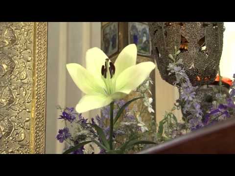 დათო და თამთა