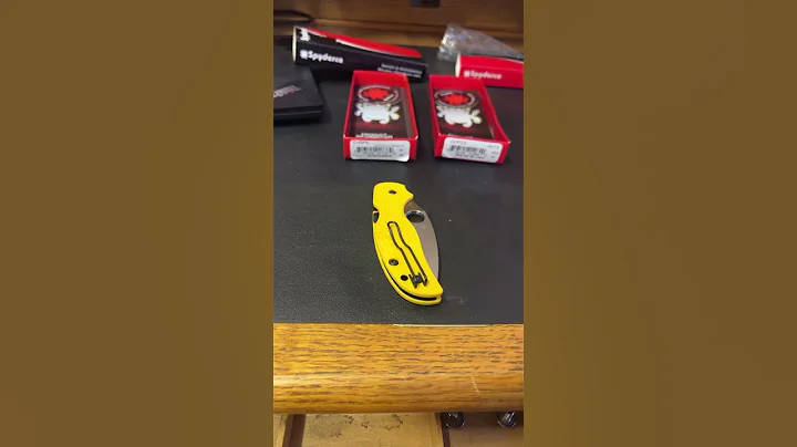 Spyderco Native 5 or Sage 5