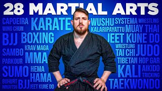What I Learned from 28 Martial Arts