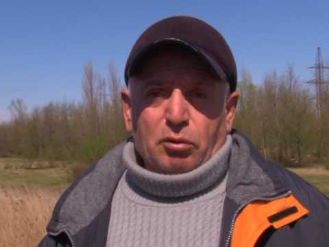 ფოთში თევზის დახოცვის მიზეზი ჯერჯერობით უცნობია 17.03.2017