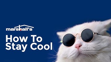 Stay Cool This Summer | Marshall’s 2023 Campaign