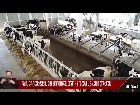 რძის პროდუქტების ექსპორტი რუსეთში - ბიზნესის პასუხი მოსკოვს
