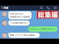 LINE 昔モテてた価値観がこびり付いて全く妥協できない33歳シングルマザーの末路www 総集編 作業用 睡眠用