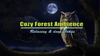 Cozy Forest Night Ambience with Owl Hoots, River Sounds, and Insect Chirps