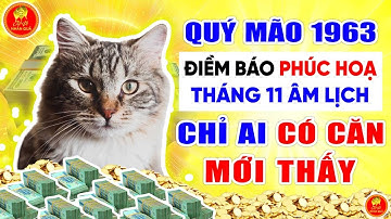 ĐIỀM BÁO PHÚC HỌA Tuổi Quý Mão 1963 Tháng 11 Âm Lịch, Chỉ Ai Có Căn Mới Thấy