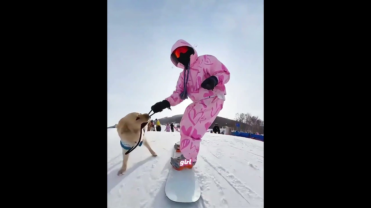 The Girl Took on a Dangerous Mountain… And Her Dog Followed Her #shorts  #blizzard  #dog  #pets