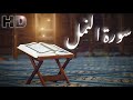 سورة النمل كاملة بصوت هادئ وجودة عالية للشيخ حاتم فريد سورة النمل كاملة بصوت هادئ وجودة عالية للشيخ حاتم فريد