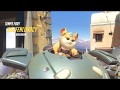 Trying Hammond.