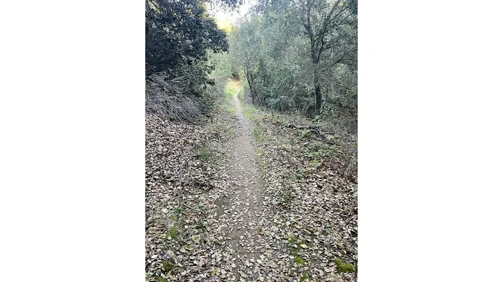 Cull Canyon Current Trail Condition Dec 9, 2025