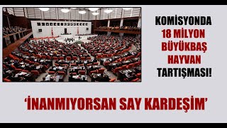 Akp Chp Arasinda Tartişma..