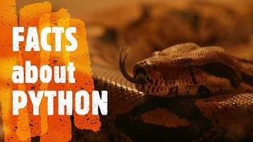 Amazing facts about python