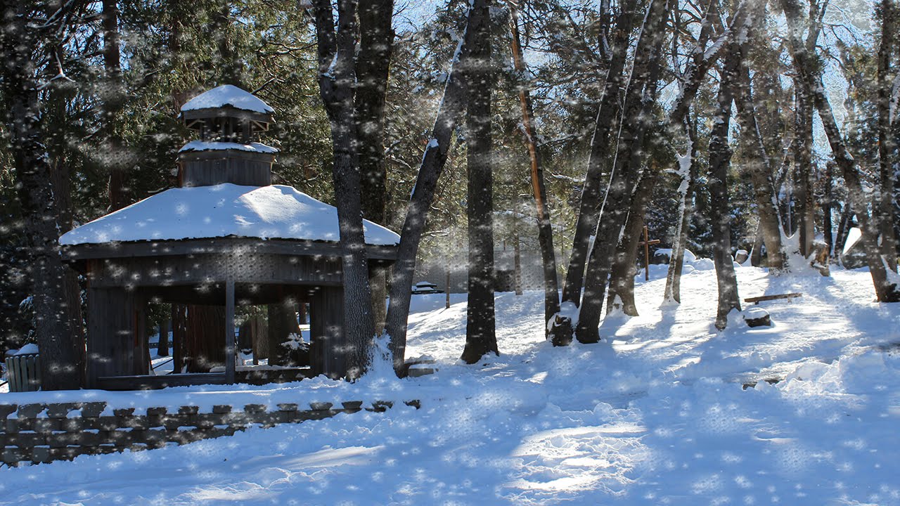 See winter coupons