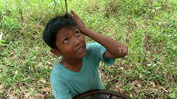 BOCAH PETUALANG | ANAK BERANI DARI DESA TAKUTI (04/10/18) 1-3