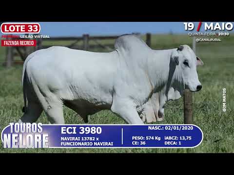 LOTE 33   ECI 3980