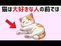 【愛されている猫が飼い主に見せる仕草・行動30選】猫の雑学 #猫 #ねこ