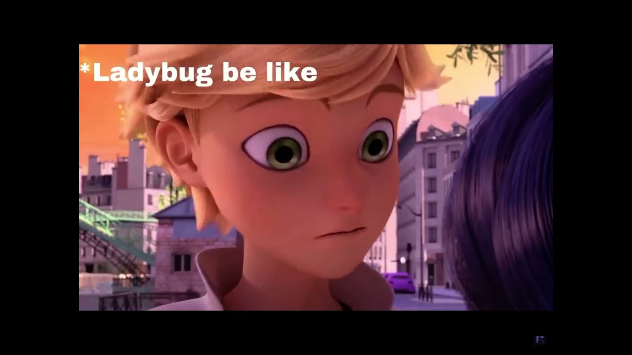 C.C.A.M.L  Miraculous ladybug movie, Miraculous ladybug anime, Miraculous  ladybug memes