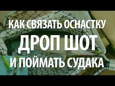 ДРОП ШОТ - ЛОВЛЯ СУДАКА на СПИННИНГ с ОСНАСТКОЙ DROP SHOT