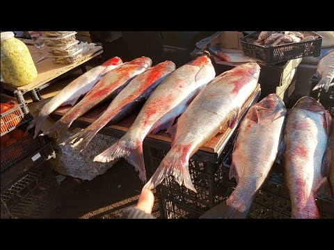 ყველაფერი ვიყიდეთ რაც ბაზარში გვინდოდა🎄საახალწლო ბაზარი