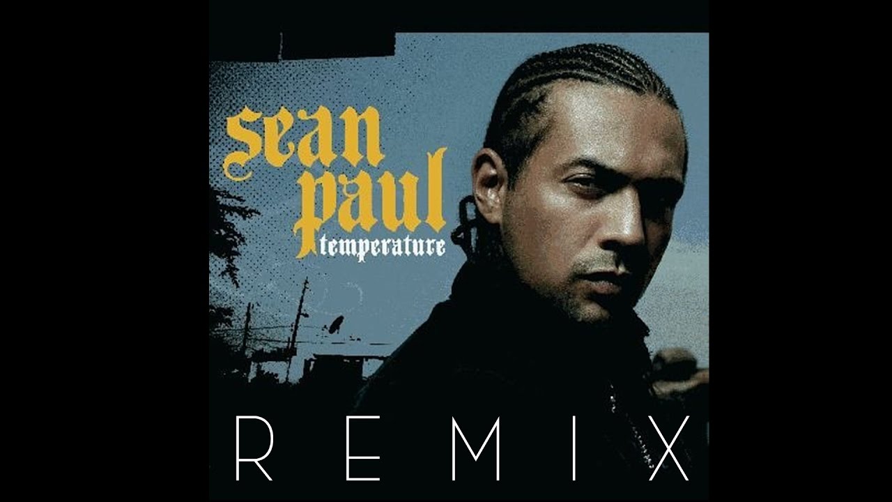 Sean Paul   Temperature ftPitbull REMIX