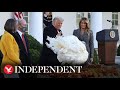 Watch again: Trump hosts annual Thanksgiving Turkey presentation