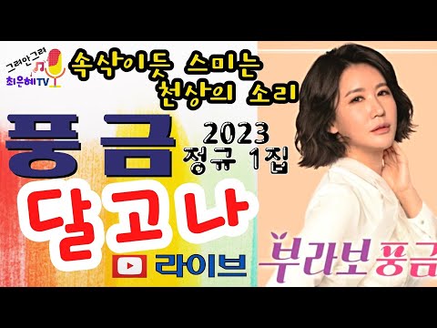 풍금2023 신곡 "달고나" 라이브