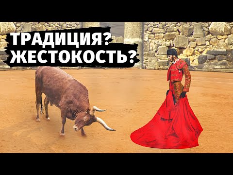 ИСПАНСКАЯ КОРРИДА 🐂  Традиция или Жестокость?