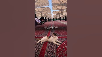 #القرآن_الكريم  #اللهم_صل_وسلم_على_نبينا_محمد #تلاوة_خاشعة