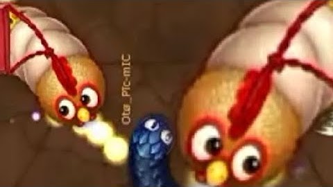 Rắn săn mồi 2021-Game con giun đất Chuyên đi Săn ăn-Little big snake.io#40