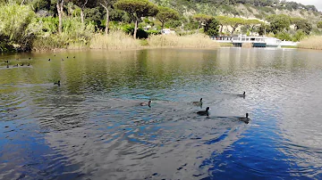 Quali sono i laghi di Napoli?