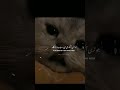 aansu ka ek katra...#shortvideo #islamicvideo