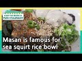 Masan is famous for sea squirt rice bowl (Stars' Top Recipe at Fun-Staurant) | KBS WORLD TV 210323