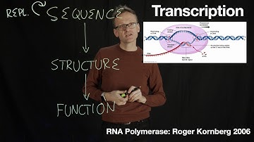 Lecture 01, concept 14: Transcription