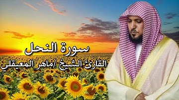 سورة النحل كاملة القارئ الشيخ ماهر المعيقلي بجودة عالية