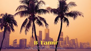 𝒑𝒍𝒂𝒚𝒍𝒊𝒔𝒕 | B Tamir-тай хамт  | Miami summer road trippy with droptop