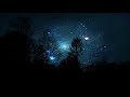 free Forest HD wallpaper with sky and stars tonight  Hd 4k
