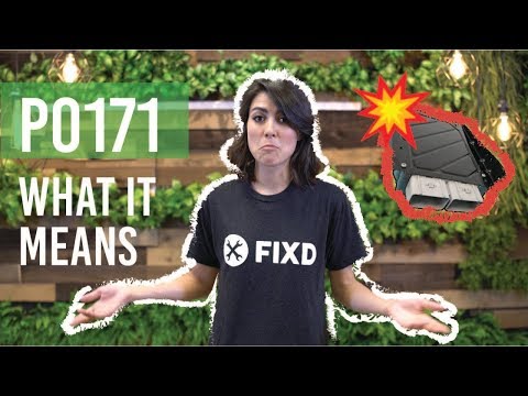 P0171 Explained - System TOO LEAN (Bank 1)
