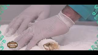 Ogaş Lokum Atölyesi̇ Tanitim Fi̇lmi̇