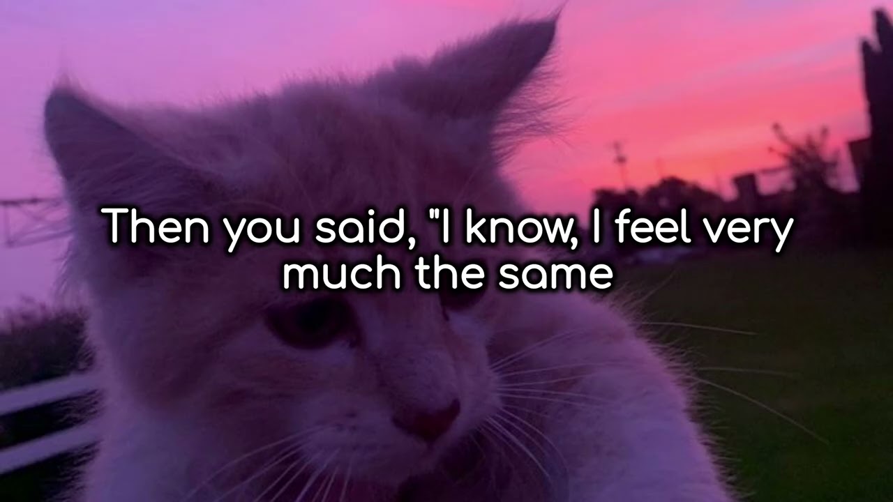 Harmless - Swing Lynn (Lyrics)