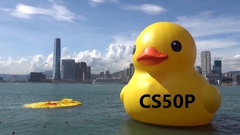 CS50P Final Project video