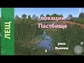 Русская рыбалка 4 - река Вьюнок - Лещ в камышах